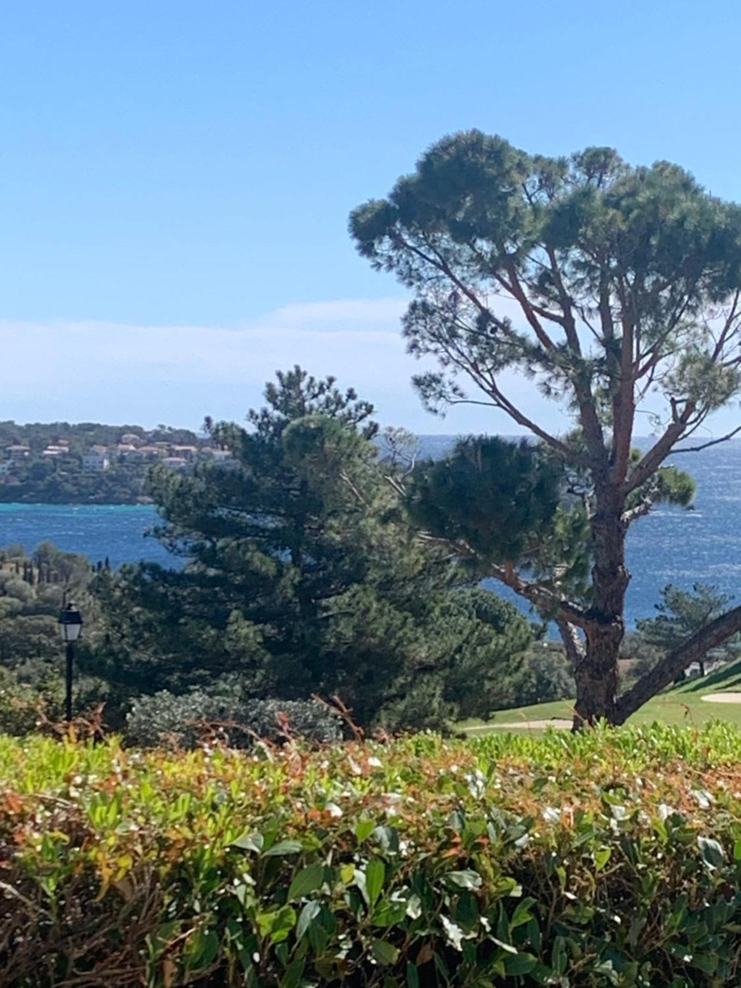 T2 En Rez De Jardin Privatif Cloture , Cap Esterel Pierre Et Vacances ,Piscine Chauffee Des Le 05 Avril Au 02 Novembre Saint-Raphaël Esterno foto