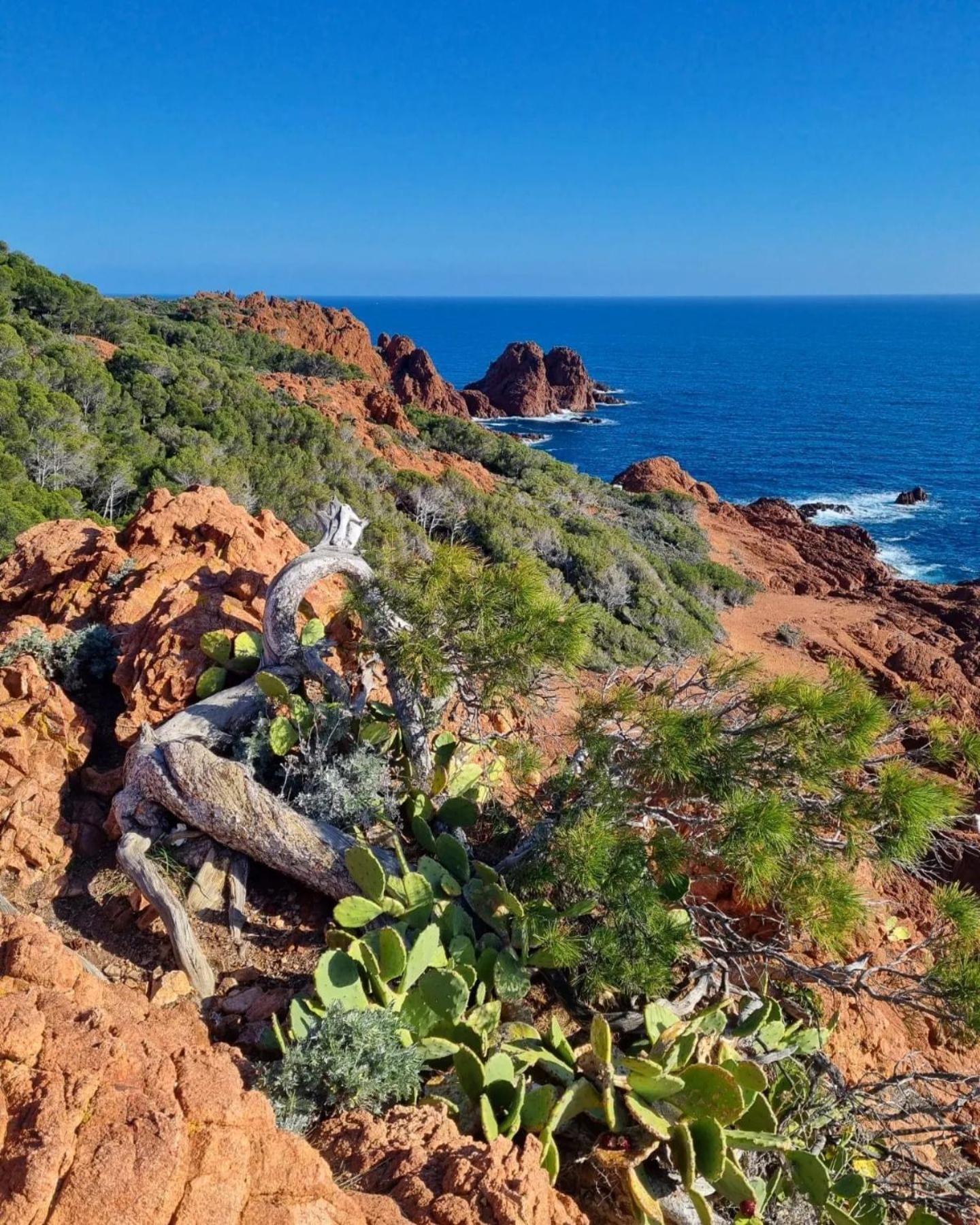 T2 En Rez De Jardin Privatif Cloture , Cap Esterel Pierre Et Vacances ,Piscine Chauffee Des Le 05 Avril Au 02 Novembre Saint-Raphaël Esterno foto