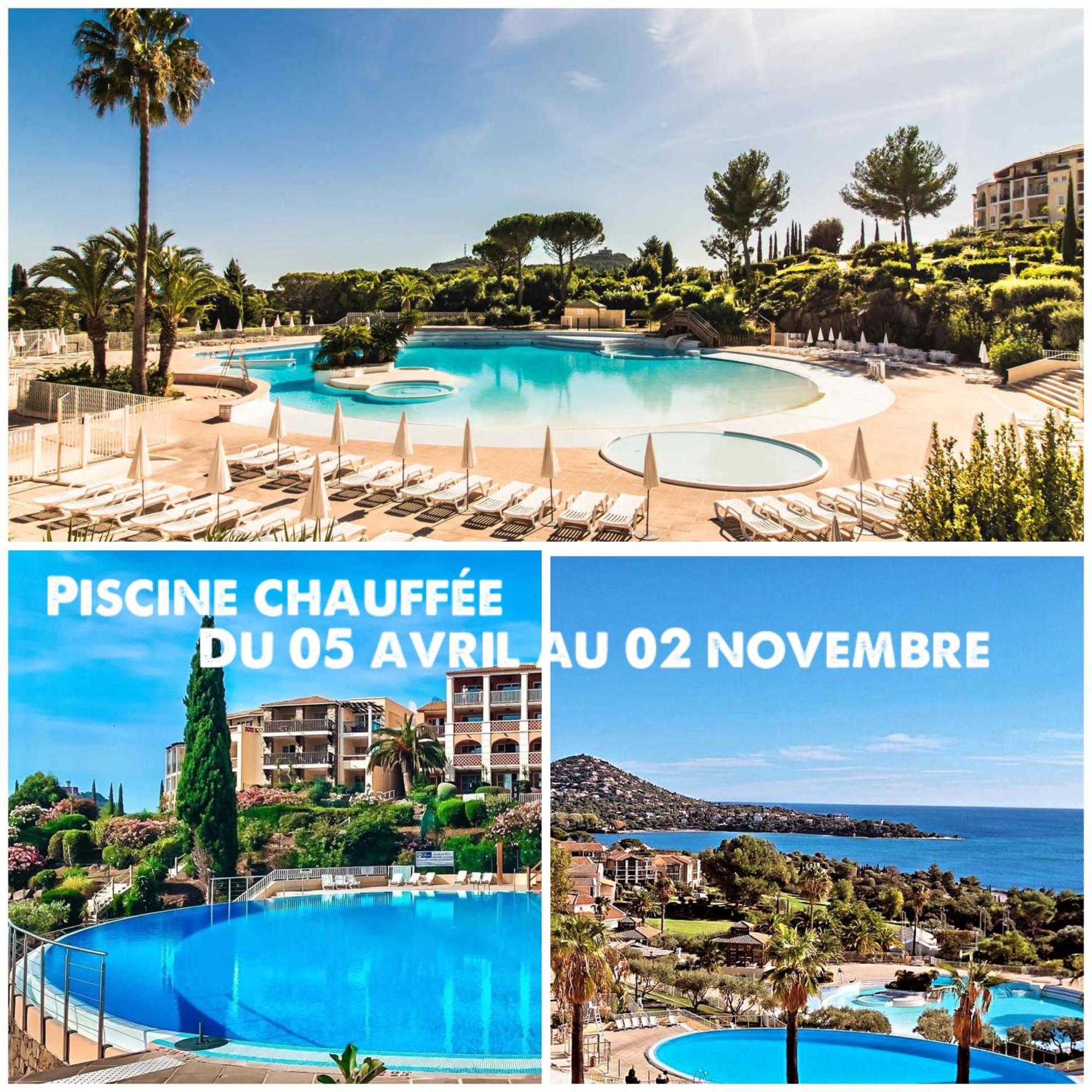 T2 En Rez De Jardin Privatif Cloture , Cap Esterel Pierre Et Vacances ,Piscine Chauffee Des Le 05 Avril Au 02 Novembre Saint-Raphaël Esterno foto